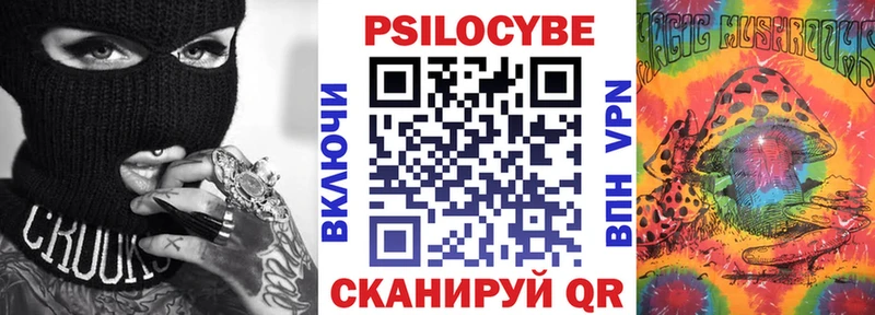 Псилоцибиновые грибы Cubensis  Купить где  Будённовск 